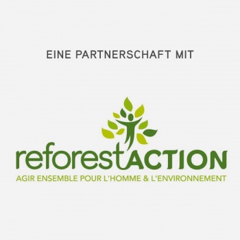 <strong>2 000</strong> B&auml;ume, die 2018 in einem Wald in Mayenne gepflanzt wurden.